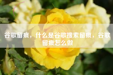 谷歌留痕，什么是谷歌搜索留痕，谷歌留痕怎么做