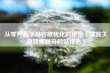 从零开始学习谷歌优化的秘密（掌握关键技能提升网站排名）