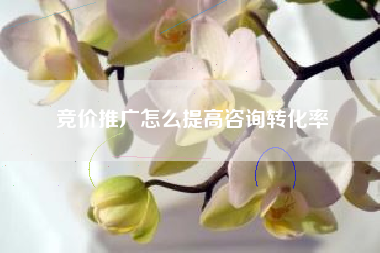 竞价推广怎么提高咨询转化率