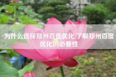 为什么选择郑州百度优化,了解郑州百度优化的必要性
