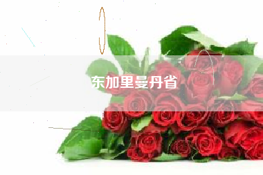 东加里曼丹省