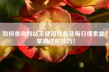 如何查询网站关键词排名及每日搜索量？掌握这些技巧！
