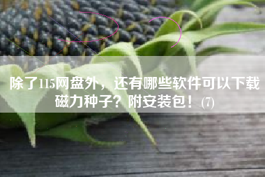 除了115网盘外，还有哪些软件可以下载磁力种子？附安装包！(7)