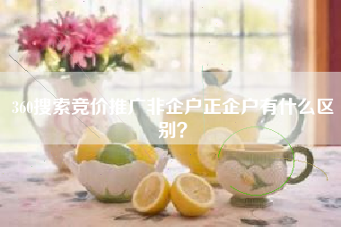 360搜索竞价推广非企户正企户有什么区别？
