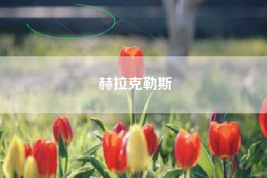 赫拉克勒斯