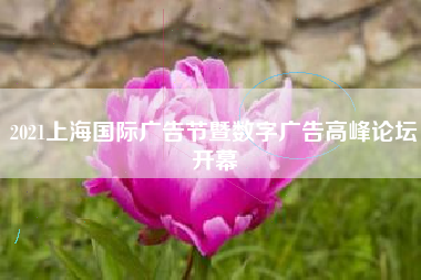 2021上海国际广告节暨数字广告高峰论坛开幕