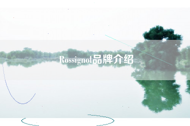 Rossignol品牌介绍