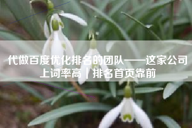 代做百度优化排名的团队——这家公司上词率高｜排名首页靠前