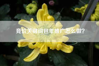 竞价关键词包年推广怎么做？