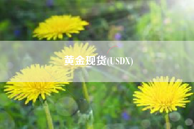 黄金现货(USDX)