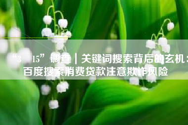 “3•15”调查｜关键词搜索背后的玄机：百度搜索消费贷款注意欺诈风险