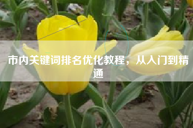 市内关键词排名优化教程，从入门到精通