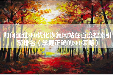 如何通过SEO优化恢复网站在百度搜索引擎排名（掌握正确的SEO策略）