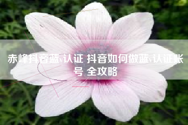 赤峰抖音蓝v认证 抖音如何做蓝v认证账号 全攻略