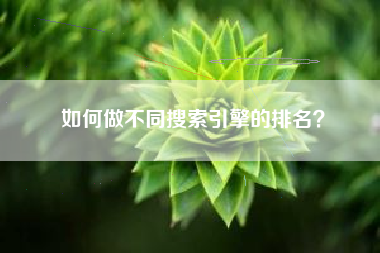 如何做不同搜索引擎的排名? 如何做不同搜索引擎的排名?