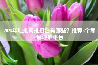 2025年地推网推接台有哪些？推荐3个靠谱地推平台