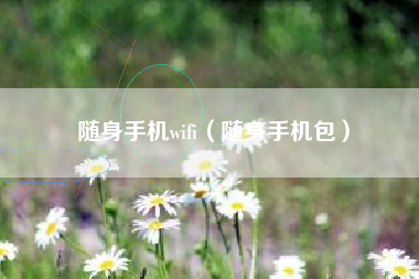 随身手机wifi（随身手机包）