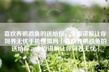 喜欢养鹦鹉鱼的送给你，全面讲解让你饲养无忧手机搜狐网「喜欢养鹦鹉鱼的送给你，全面讲解让你饲养无忧」