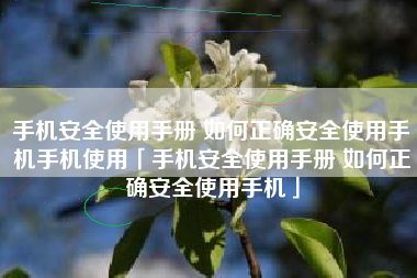 手机安全使用手册 如何正确安全使用手机手机使用「手机安全使用手册 如何正确安全使用手机」
