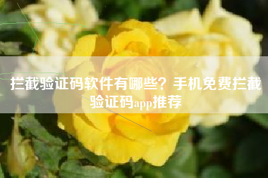 拦截验证码软件有哪些？手机免费拦截验证码app推荐
