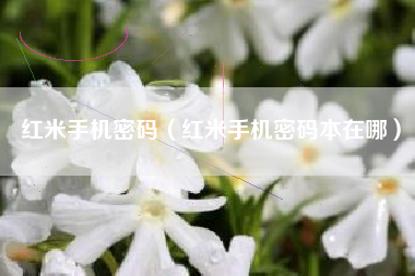 红米手机密码（红米手机密码本在哪）
