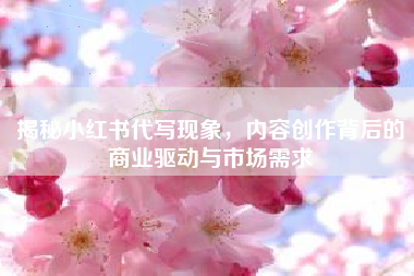 揭秘小红书代写现象，内容创作背后的商业驱动与市场需求