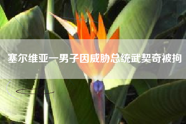 塞尔维亚一男子因威胁总统武契奇被拘