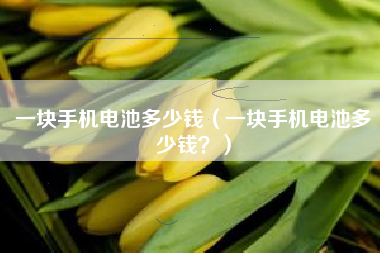 一块手机电池多少钱（一块手机电池多少钱？）