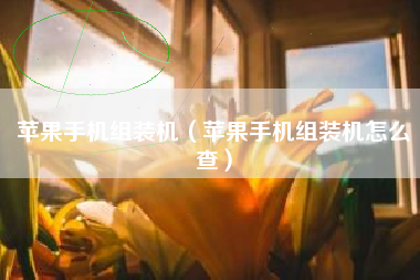 苹果手机组装机（苹果手机组装机怎么查）