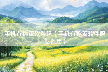 手机有称重软件吗（手机有称重软件吗怎么用）