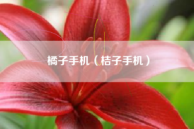 橘子手机（桔子手机）