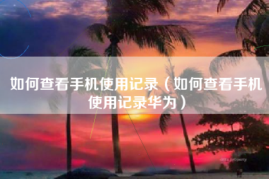 如何查看手机使用记录（如何查看手机使用记录华为）