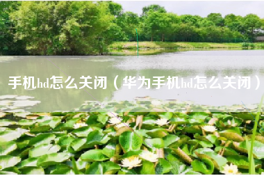 手机hd怎么关闭（华为手机hd怎么关闭）