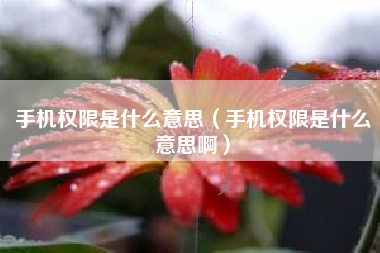 手机权限是什么意思（手机权限是什么意思啊）