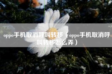oppo手机取消呼叫转移（oppo手机取消呼叫转移怎么弄）