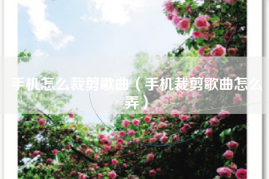 手机怎么裁剪歌曲（手机裁剪歌曲怎么弄）
