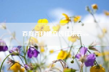 百度百科建立皆往乐云seo