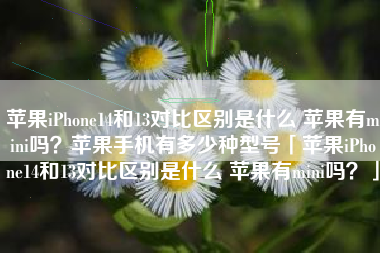 苹果iPhone14和13对比区别是什么 苹果有mini吗？苹果手机有多少种型号「苹果iPhone14和13对比区别是什么 苹果有mini吗？」