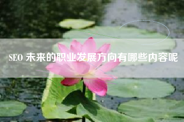 SEO 未来的职业发展方向有哪些内容呢